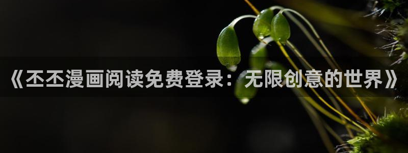 奇漫屋免费漫画网：《丕丕漫画阅读免费登录：无限创意的世界》